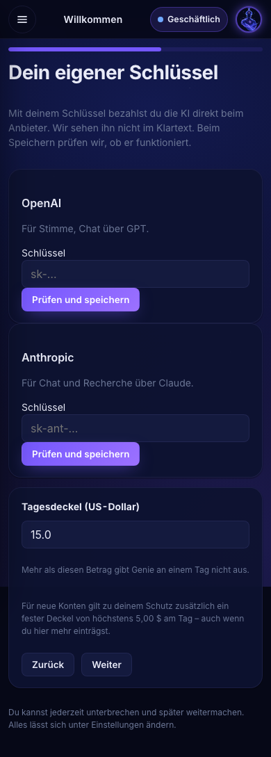 Willkommen, Schritt 3: Felder für den OpenAI- und den Anthropic-Schlüssel