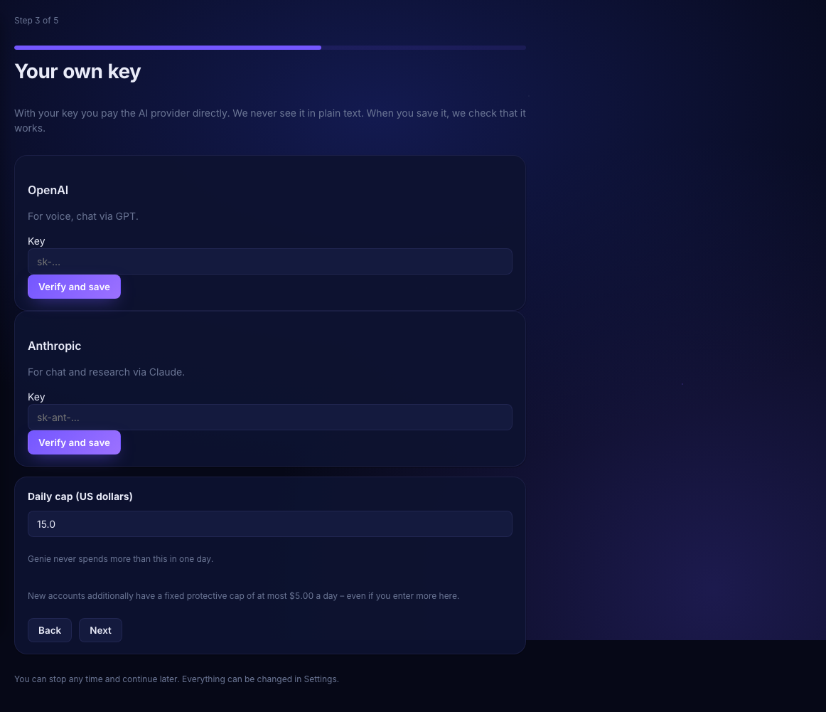 Welcome, step 3: fields for the OpenAI and the Anthropic key